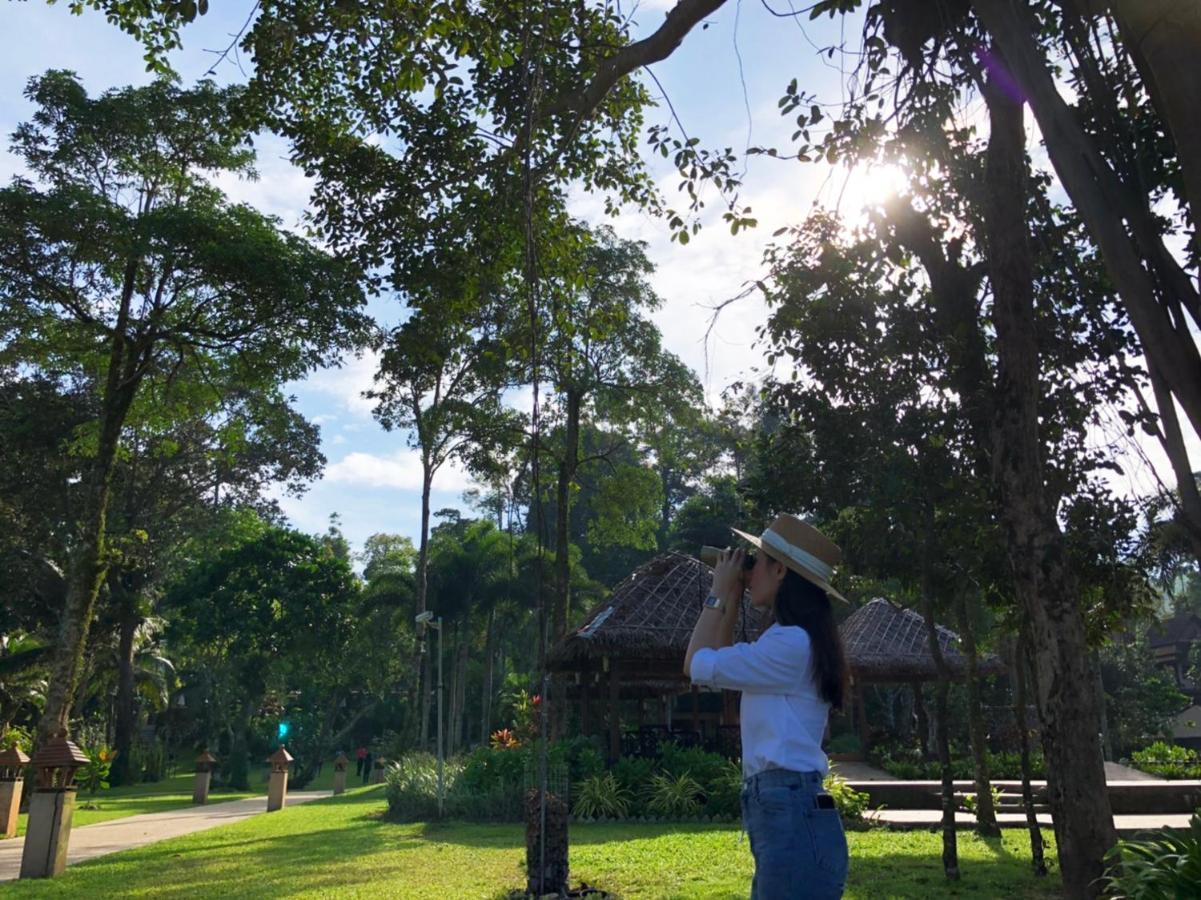Khaolak Merlin Resort Khao Lak Exterior photo A woman in the park