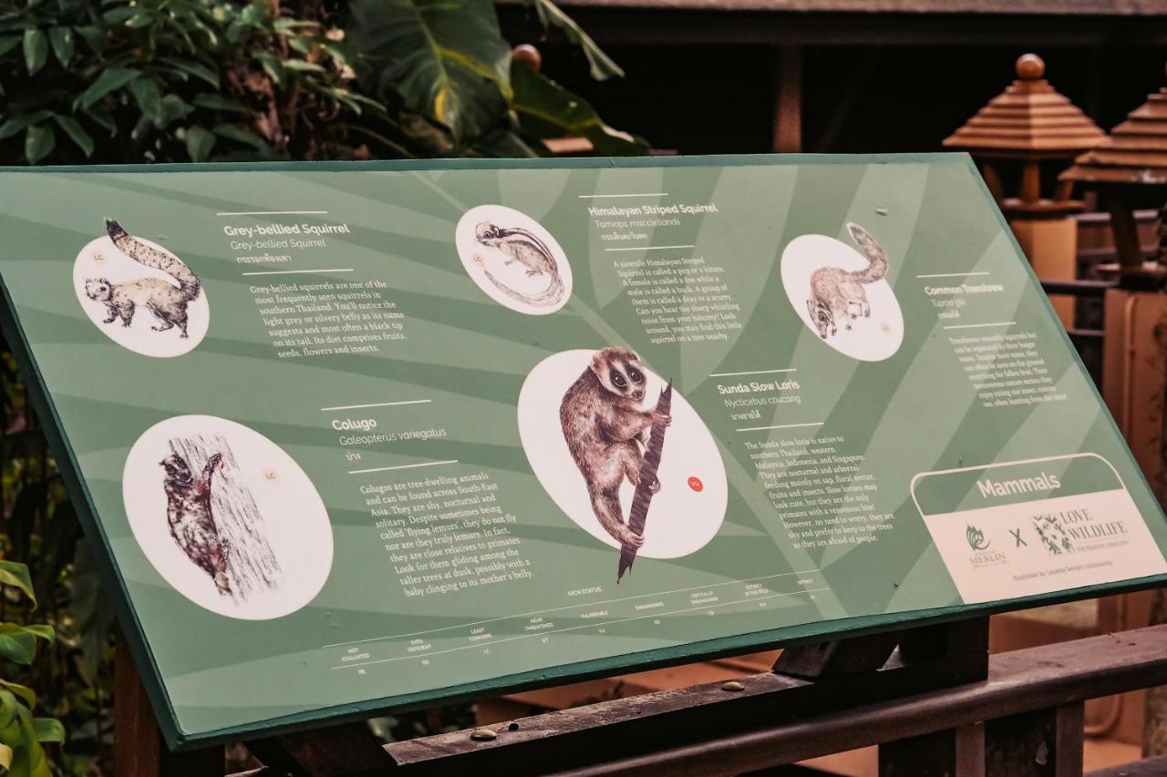 Khaolak Merlin Resort Khao Lak Exterior photo A touchscreen display at the National Museum of Natural History